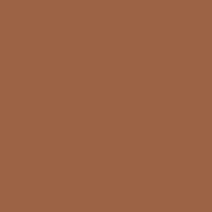 Carhartt Canvas Backpack  Design
